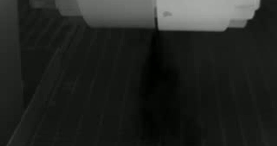 OGI - Flange Gas Leak